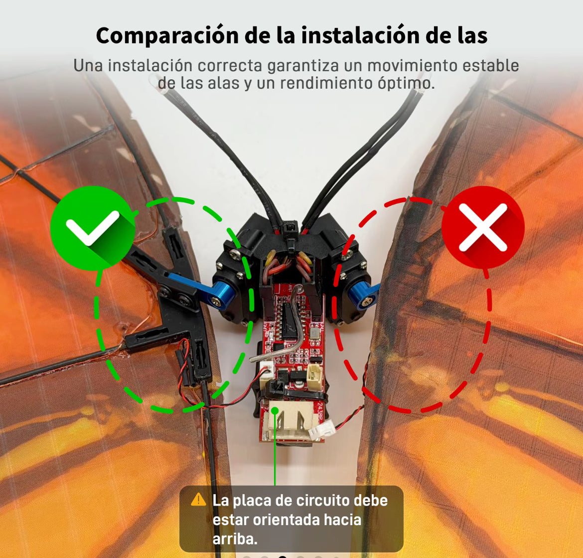Mariposa voladora