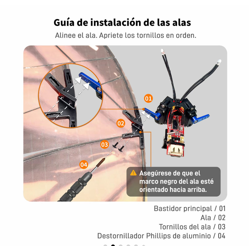 Mariposa voladora
