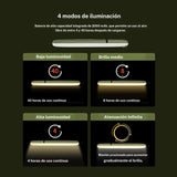 Luz de campamento