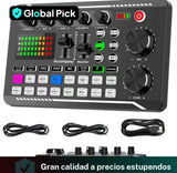 Conjunto de micrófono profesional