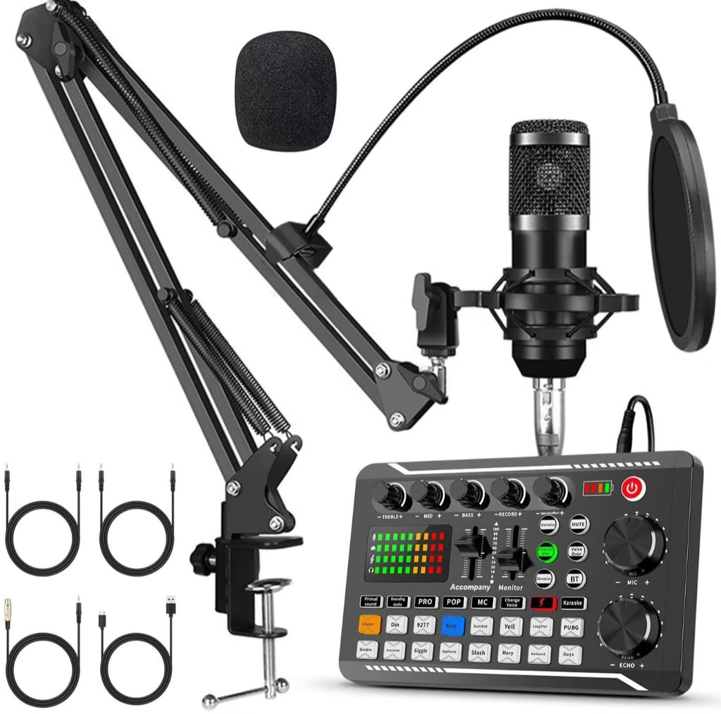 Conjunto de micrófono profesional