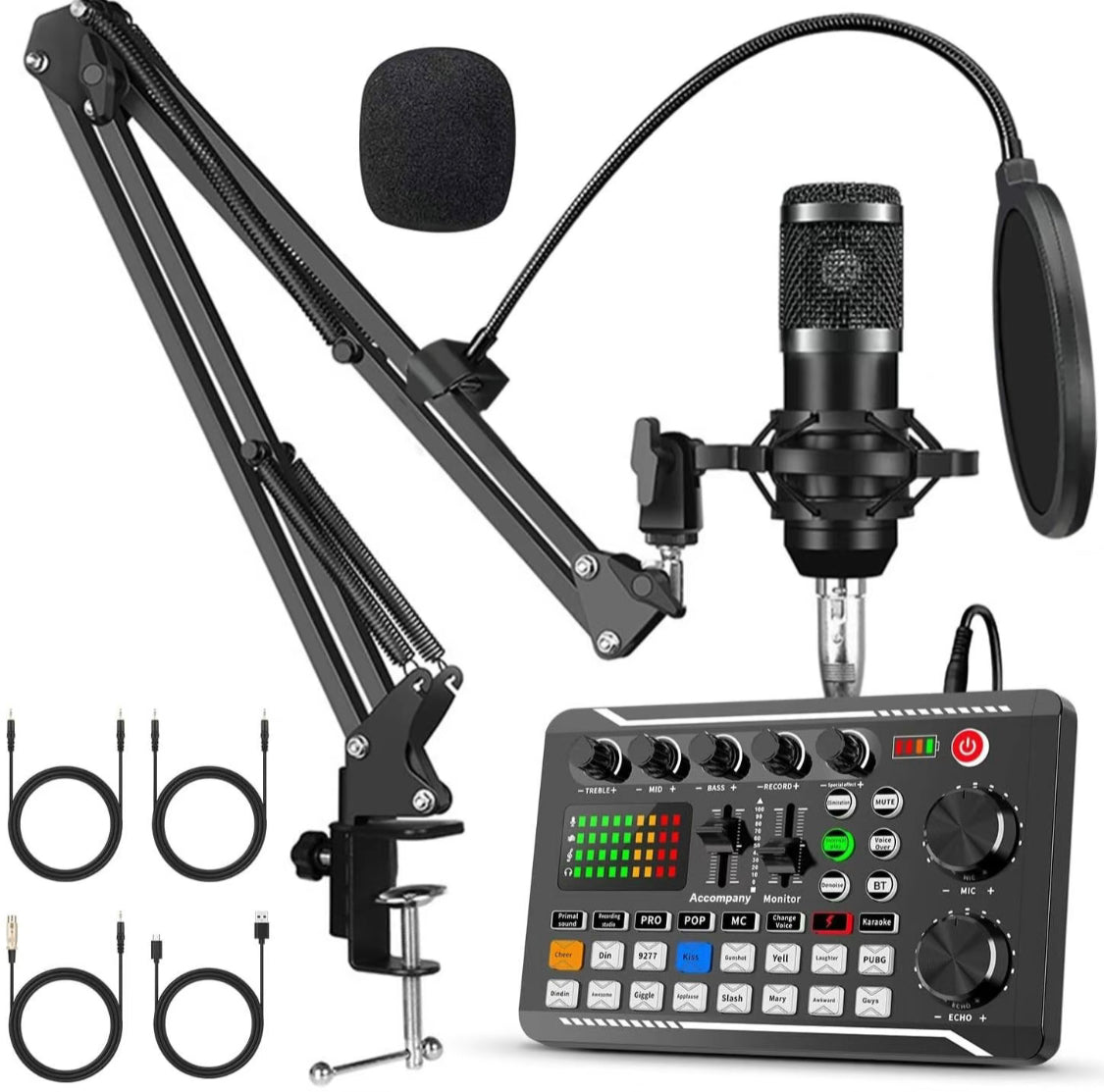 Conjunto de micrófono profesional