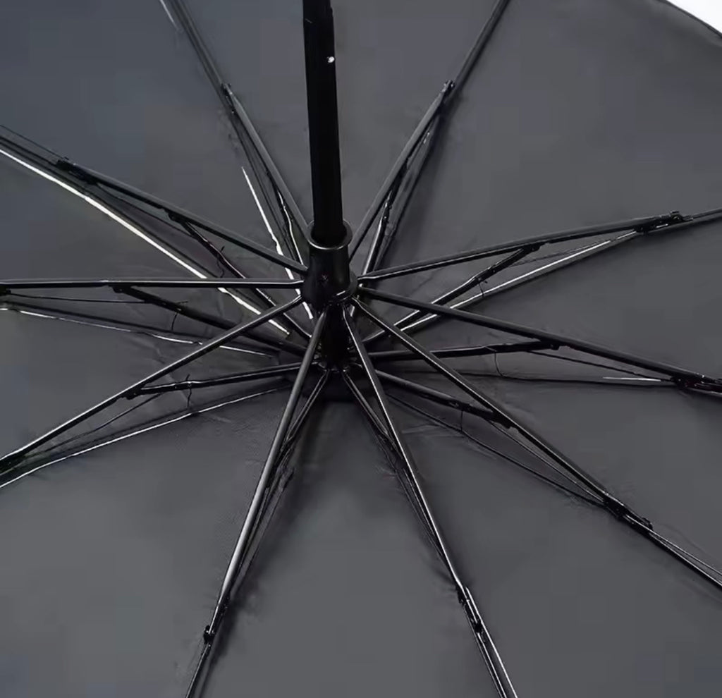 Parasol coche delantero