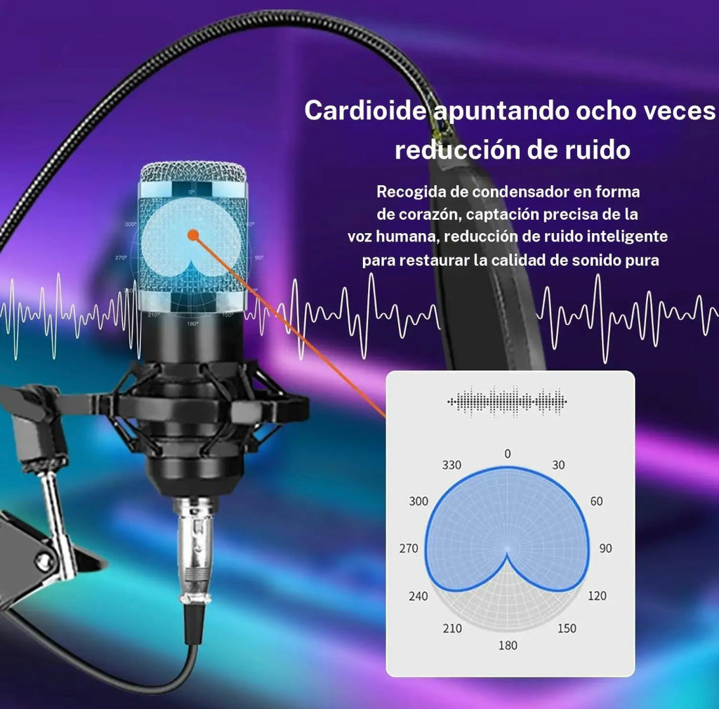 Conjunto de micrófono profesional