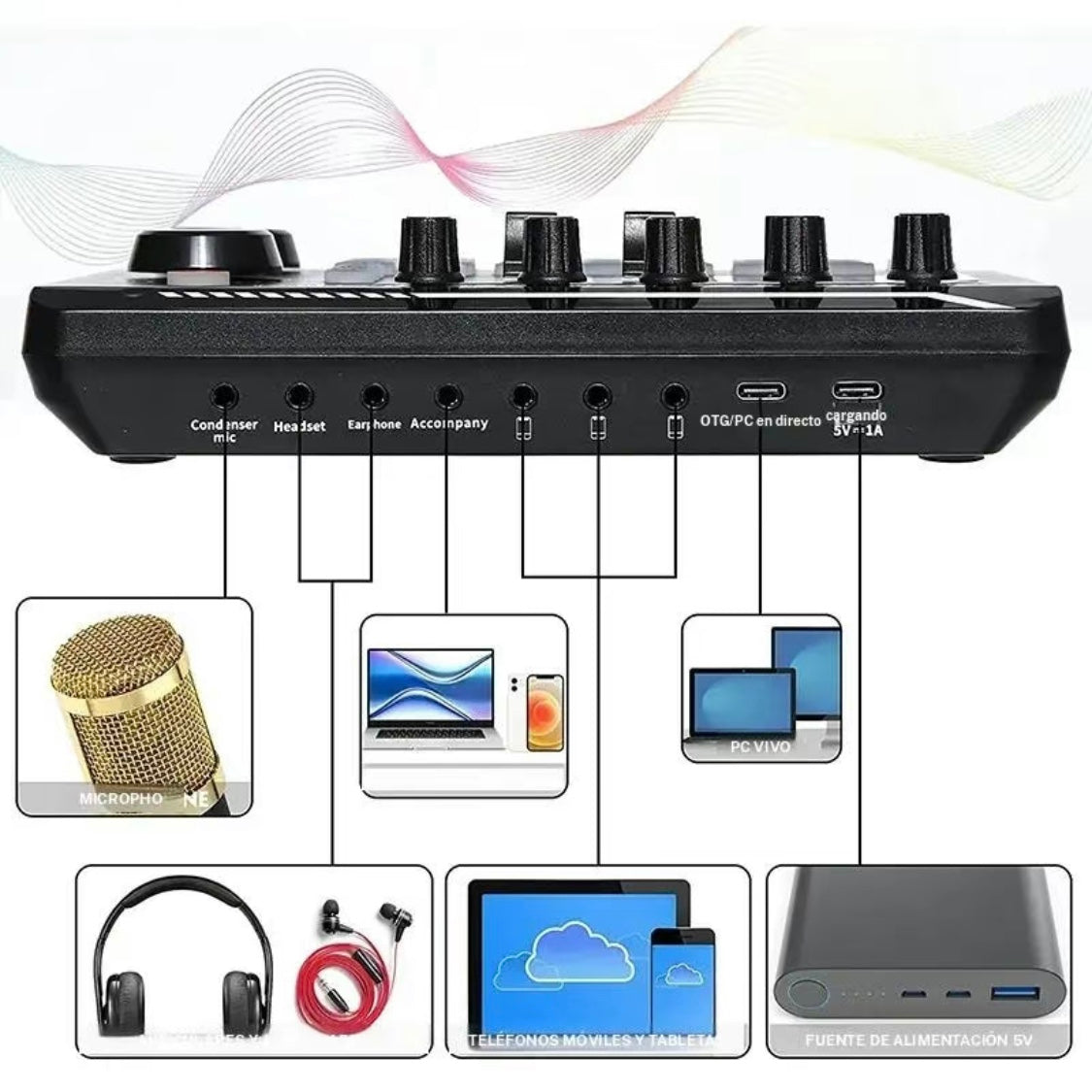 Conjunto de micrófono profesional