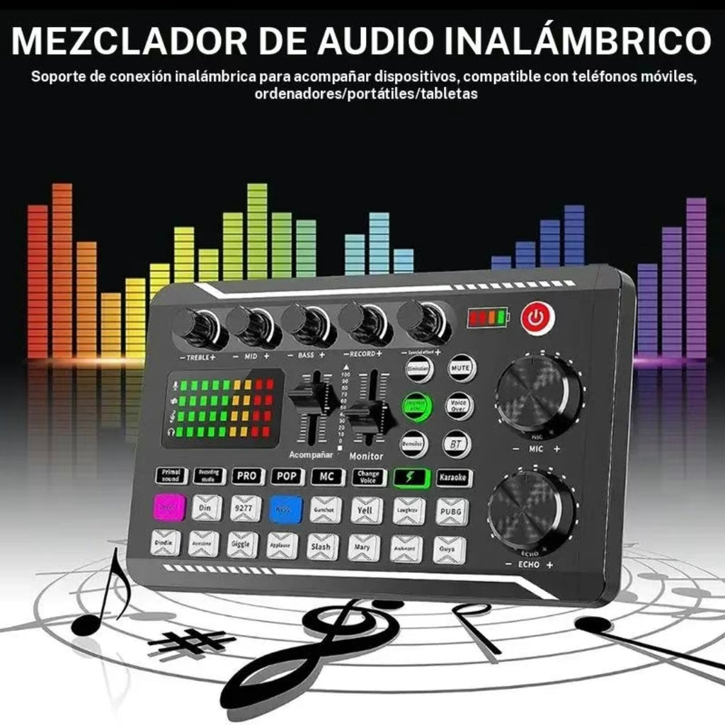 Conjunto de micrófono profesional