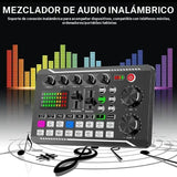 Conjunto de micrófono profesional