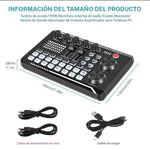 Conjunto de micrófono profesional