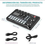 Conjunto de micrófono profesional