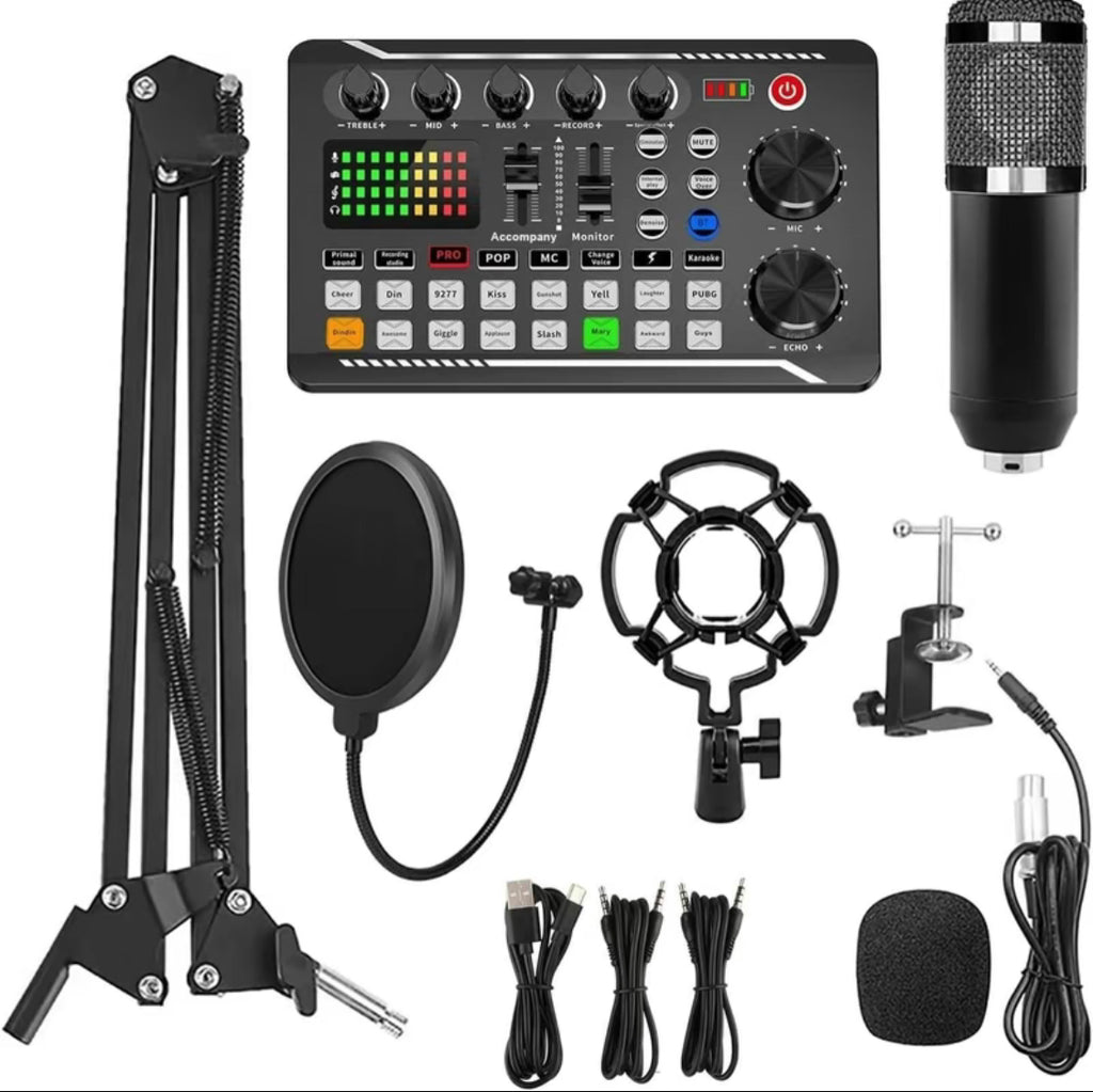 Conjunto de micrófono profesional