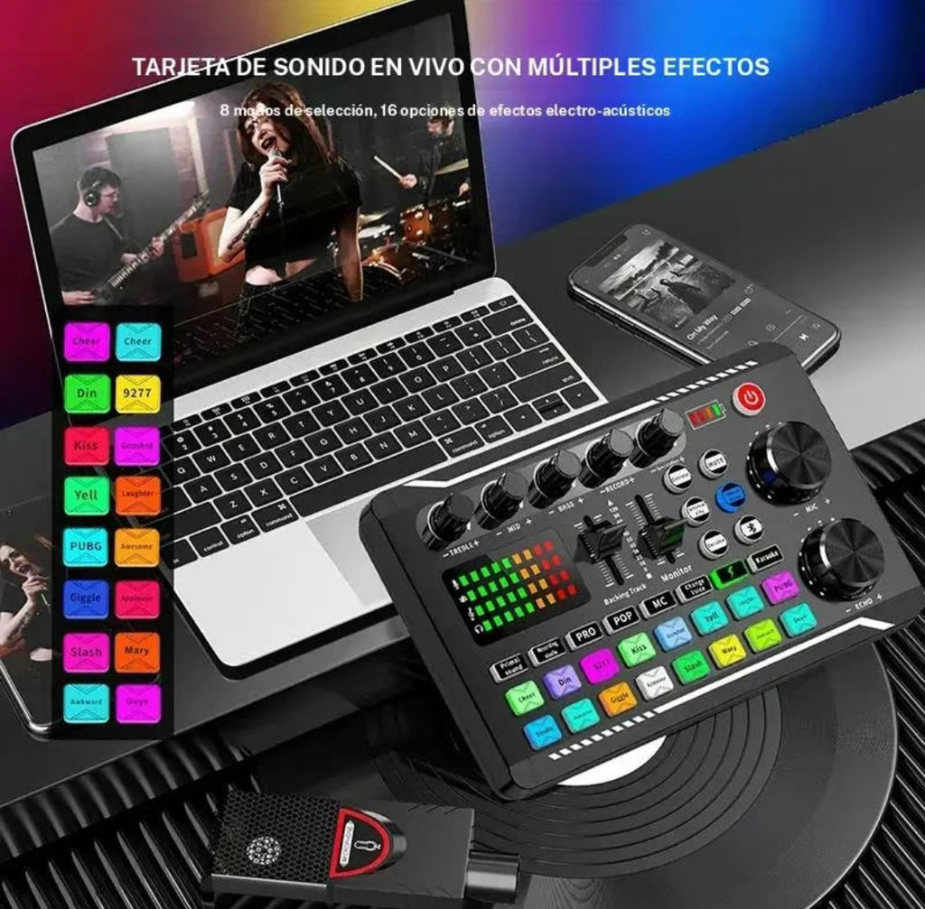 Conjunto de micrófono profesional