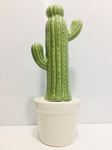 Cactus de porcelana