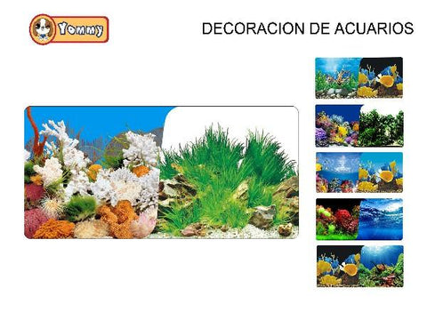 DECORACION DE ACUARIOS 30*60